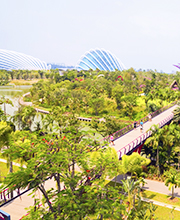 Les jardins de Singapour
